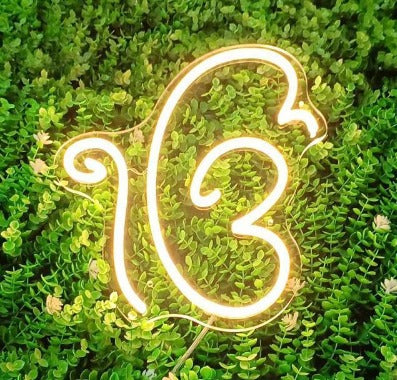 Ek Onkar Neon Sign