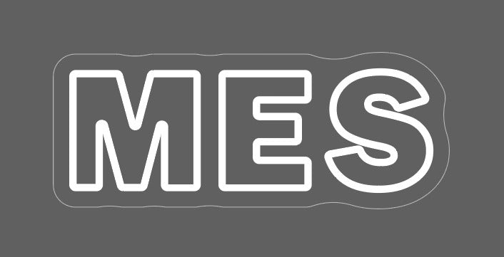 Havells Logo + MES Text Neon Sign